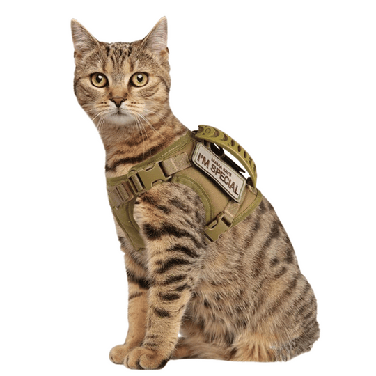 Military-Style Tactical Cat Harness & Leash