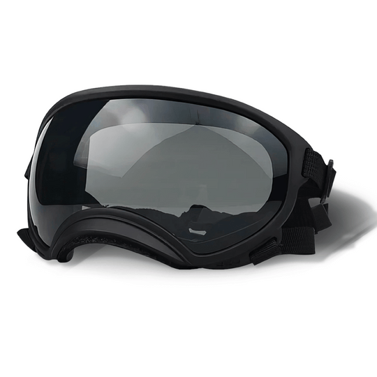 UV-Protective & Windproof Dog Sunglasses