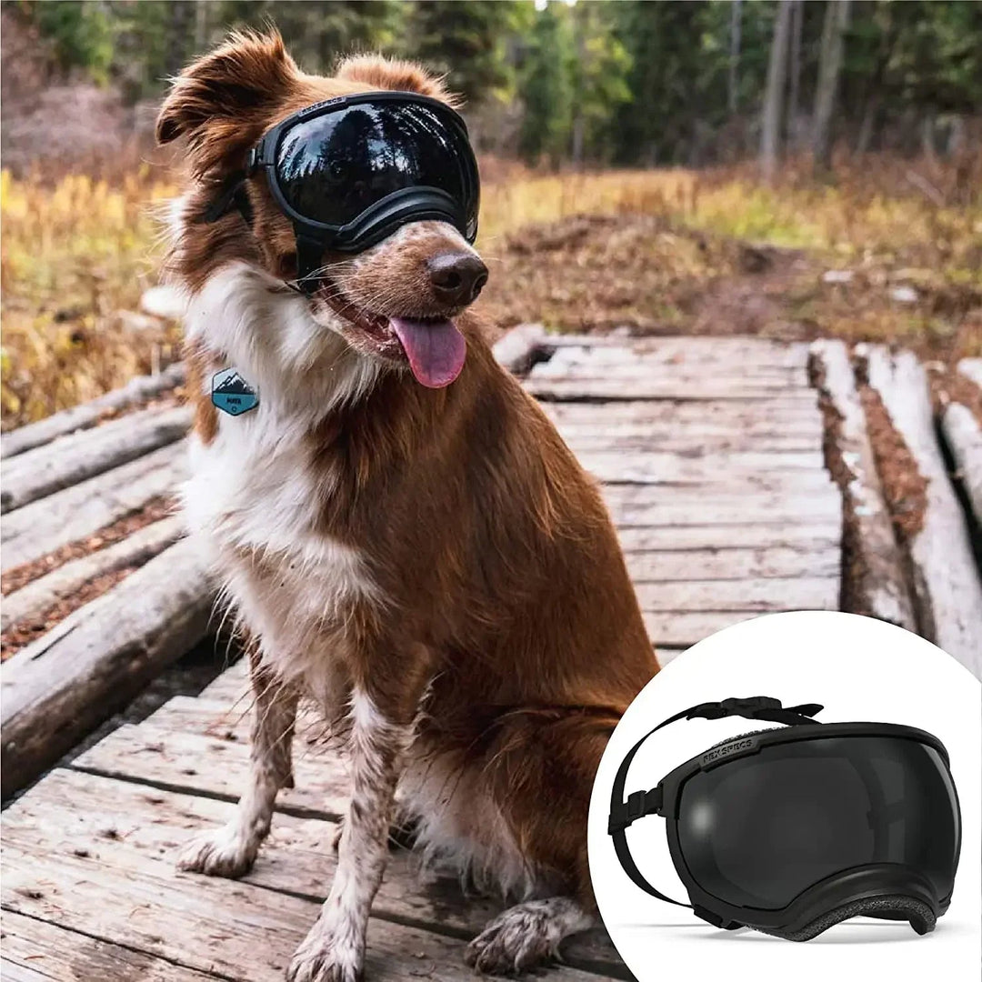 UV-Protective & Windproof Dog Sunglasses