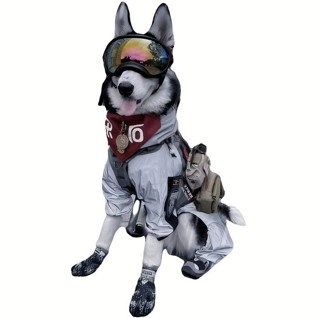 UV-Protective & Windproof Dog Sunglasses