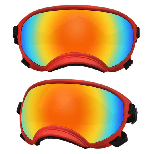 UV-Protective & Windproof Dog Sunglasses