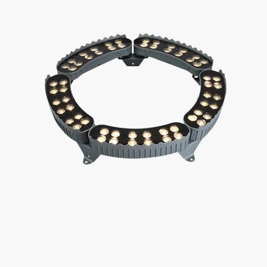 Outdoor Lighting Ring for Tree Illumination