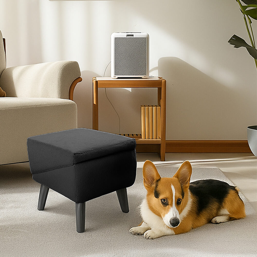 2-in-1 Dog Ramp and Step Stool