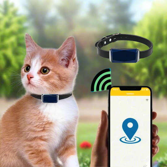 GPS Cat Collar Tracker