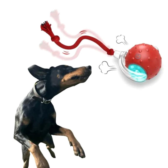 Interactive Rolling Dog Toy
