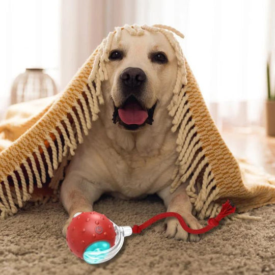 Interactive Rolling Dog Toy