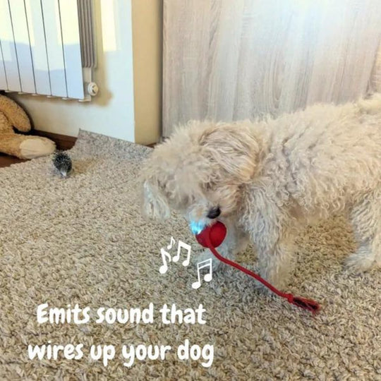 Interactive Rolling Dog Toy