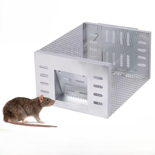 Humane Mouse Trap