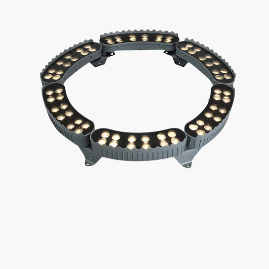 Outdoor Lighting Ring for Tree Illumination