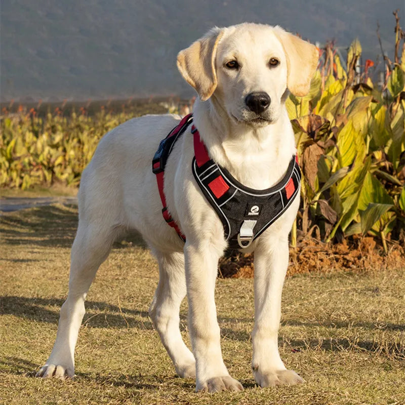 Reflective No-Pull Dog Harness
