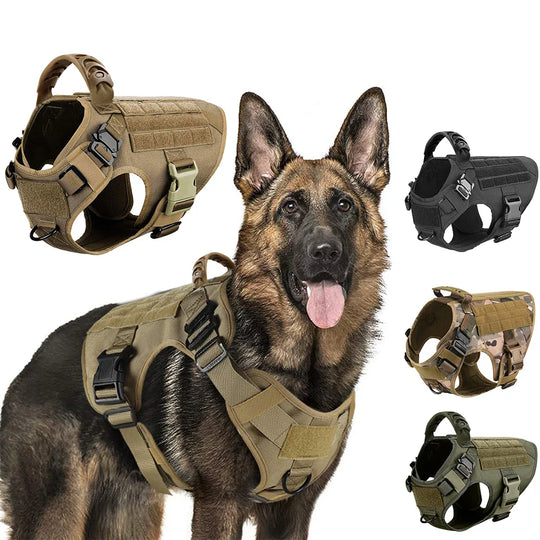 Heavy-Duty Military-Style Dog Harness