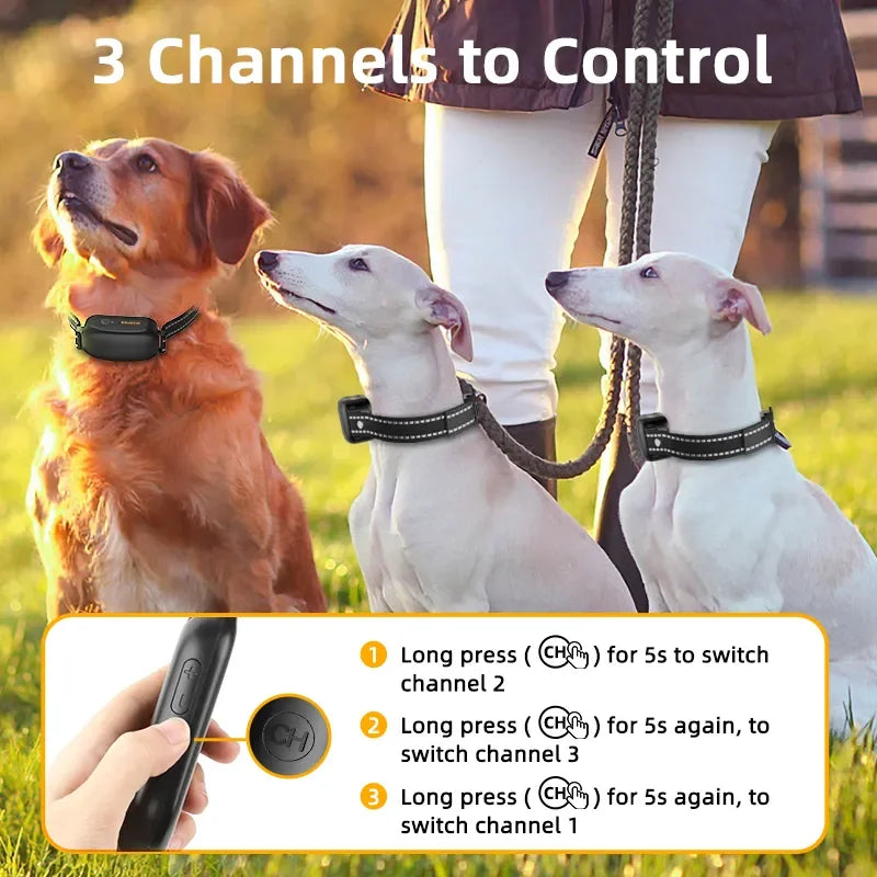 Waterproof Dog Training Collar with Remote