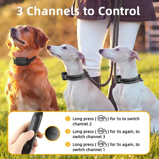 Waterproof Dog Training Collar with Remote