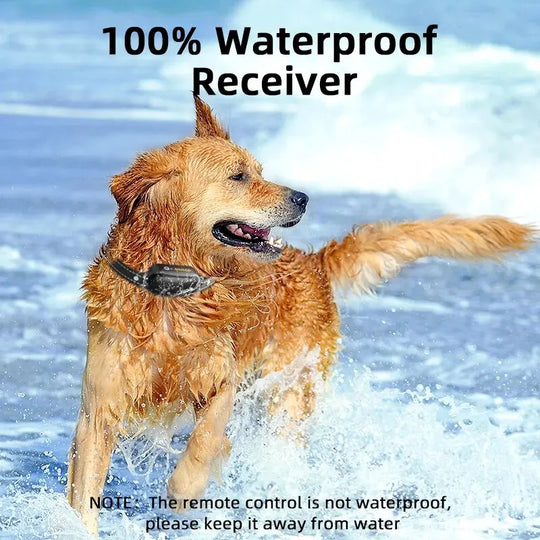 Waterproof Dog Training Collar with Remote