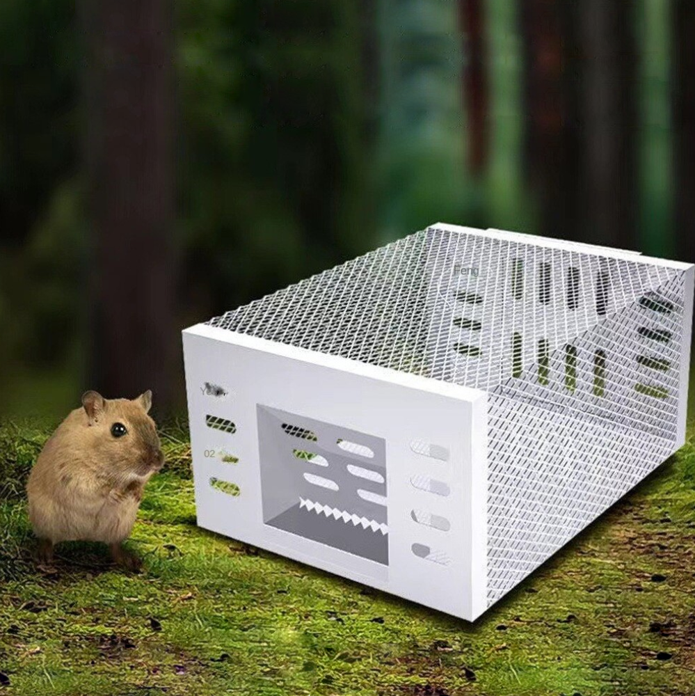 Humane Mouse Trap