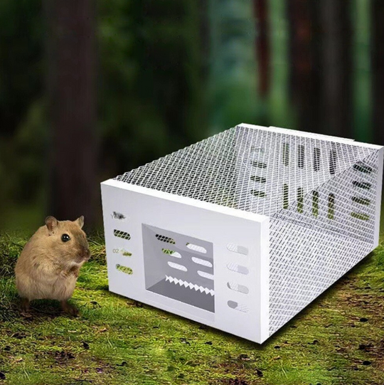 Humane Mouse Trap