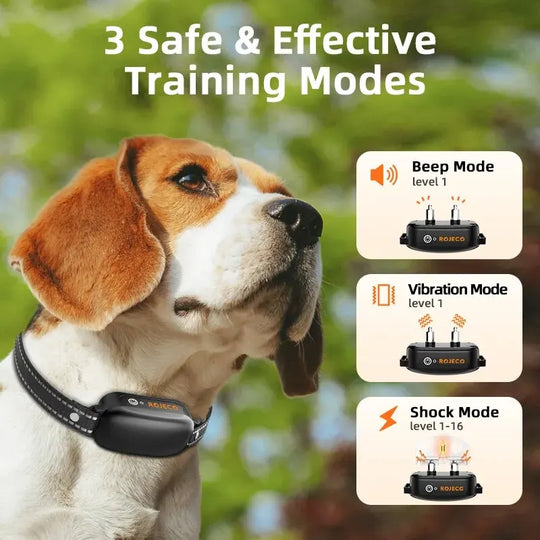 Waterproof Dog Training Collar with Remote