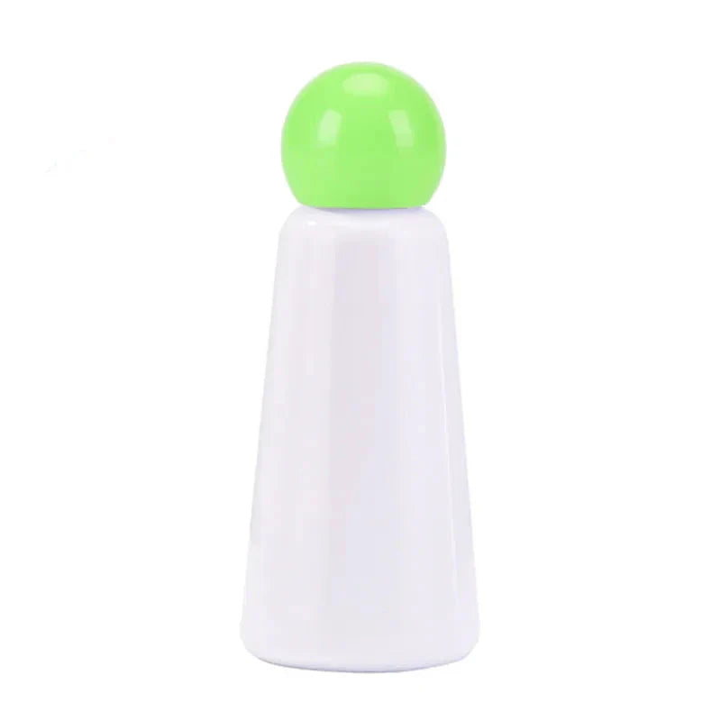 Stainless Steel Insulated Water Bottle