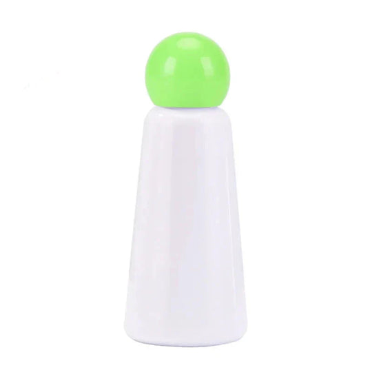 Stainless Steel Insulated Water Bottle
