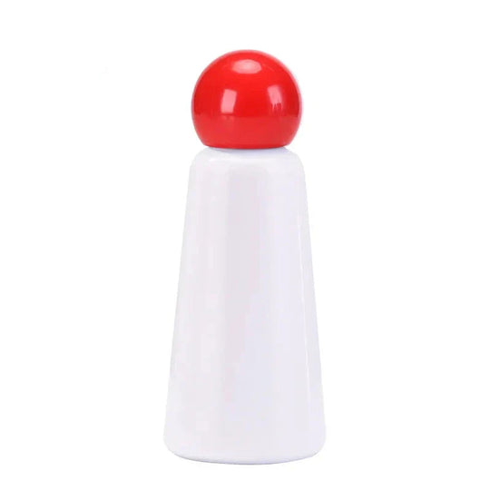 Stainless Steel Insulated Water Bottle