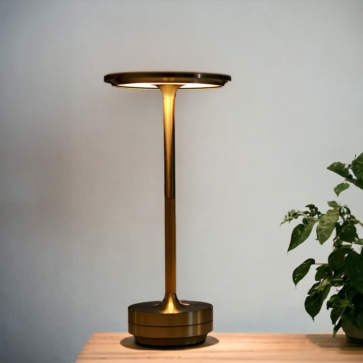 Cordless Modern Table Lamp