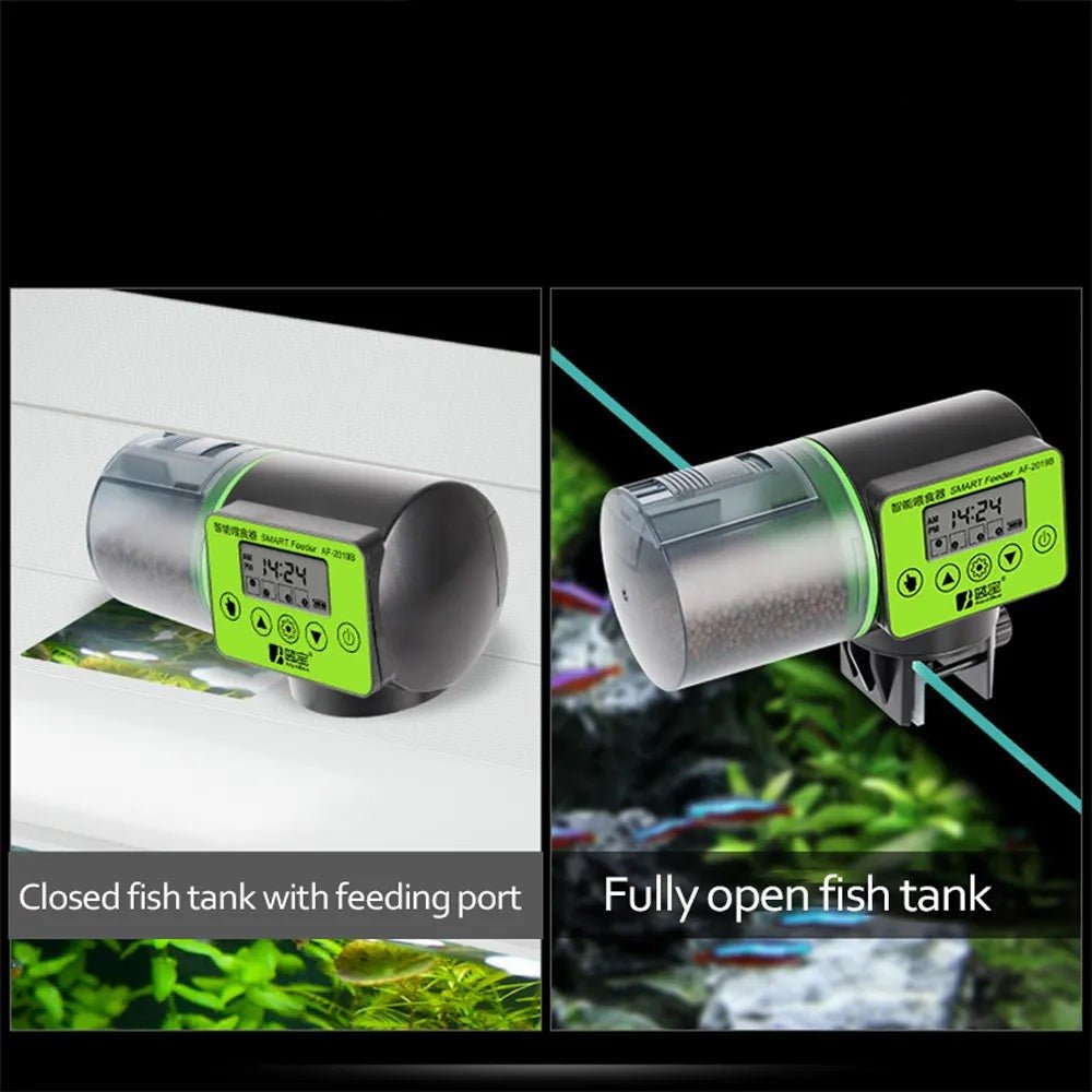 Automatic Fish Feeder