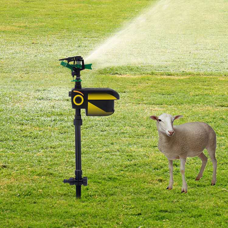 Motion-Activated Animal Repellent Sprinkler