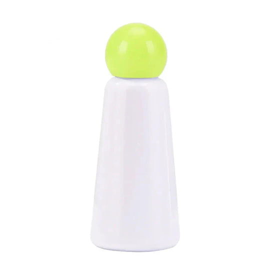 Stainless Steel Insulated Water Bottle