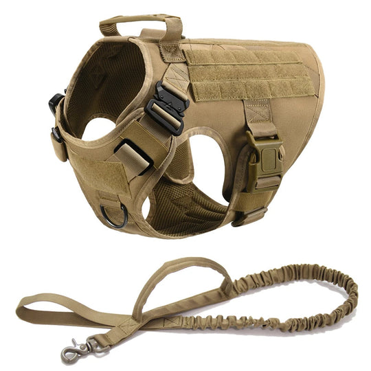 Heavy-Duty Military-Style Dog Harness