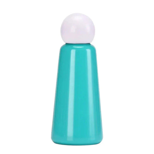 Stainless Steel Insulated Water Bottle