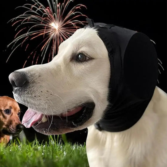 Dog Ear Muffs for Noise Reduction and Comfort