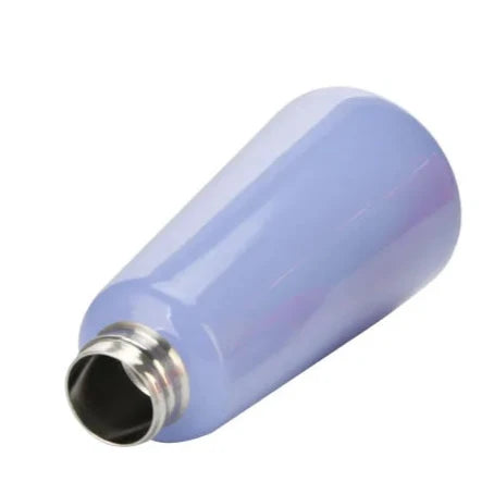 Stainless Steel Insulated Water Bottle