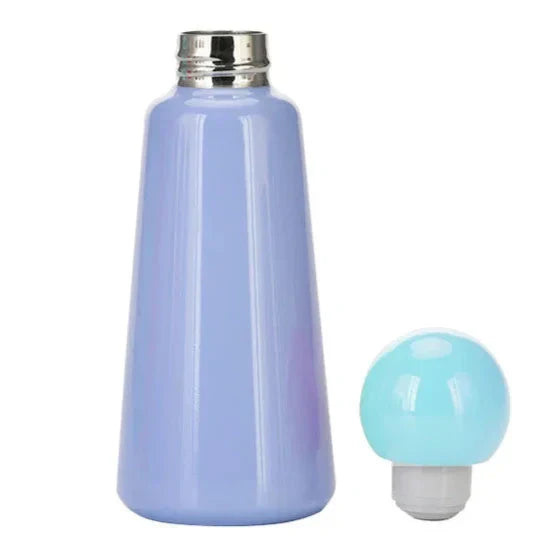 Stainless Steel Insulated Water Bottle