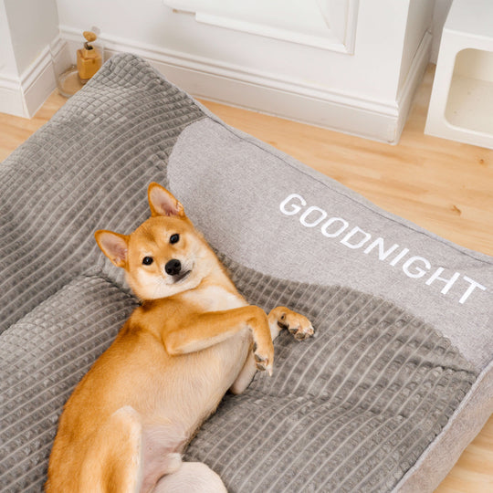 Soft Dog Bed with Headrest