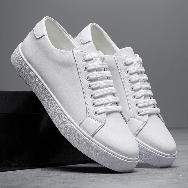 Men’s Harrington Sneakers