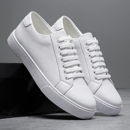 Men’s Harrington Sneakers