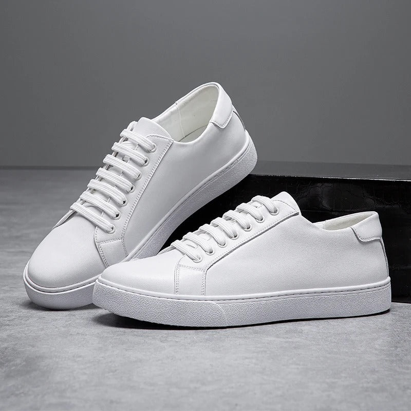 Men’s Harrington Sneakers