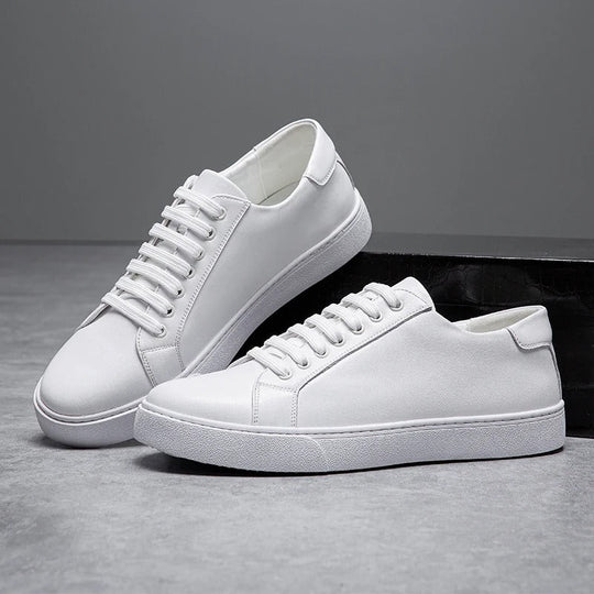 Men’s Harrington Sneakers