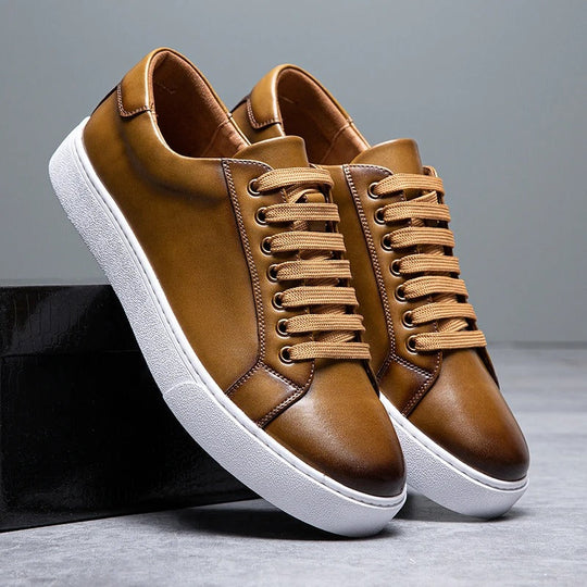 Men’s Harrington Sneakers