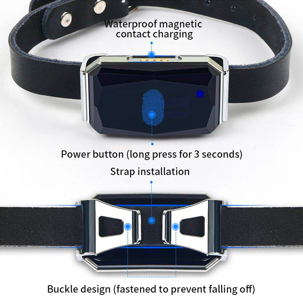 GPS Cat Collar Tracker