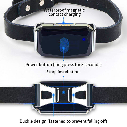 GPS Cat Collar Tracker