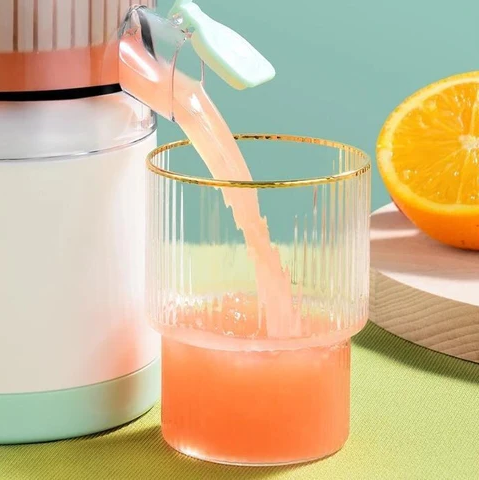 Portable Electric Juicer