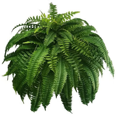 UV Resistant Lifelike Artificial Boston Fern