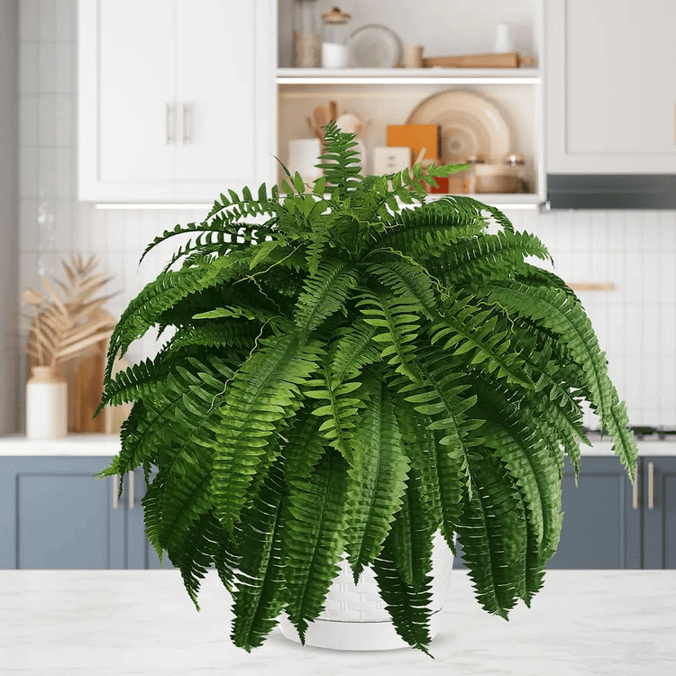 UV Resistant Lifelike Artificial Boston Fern