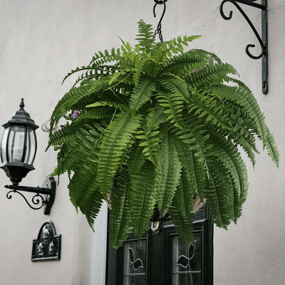 UV Resistant Lifelike Artificial Boston Fern