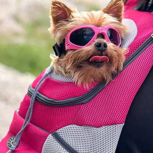 Breathable Pet Carrier Backpack