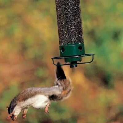 Squirrel Proof Bird Feeder, Getitt