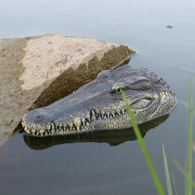 Crocodile Head Remote Control Boat - Getitt