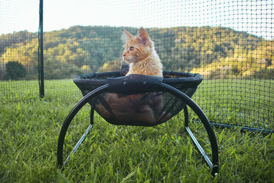 Breathable Pet Hammock - Getitt